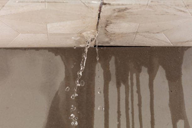 Professional Water Damage Repair technician working in Silverlake, WA